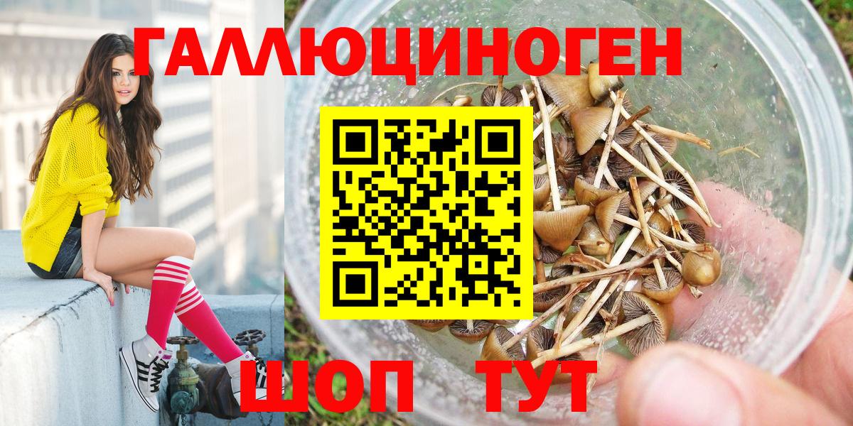 Псилоцибиновые грибы мухоморы  Псилоцибиновые грибы Magic Shrooms  Вход с VPN  Радужный 